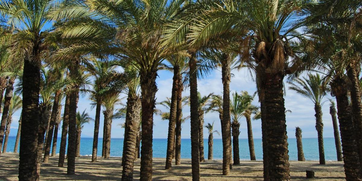 Apartamento Carole Playa Bajondillo Torremolinos Beach - Playa A 30 Segundos - Wifi - Parking - Terraza公寓 外观 照片